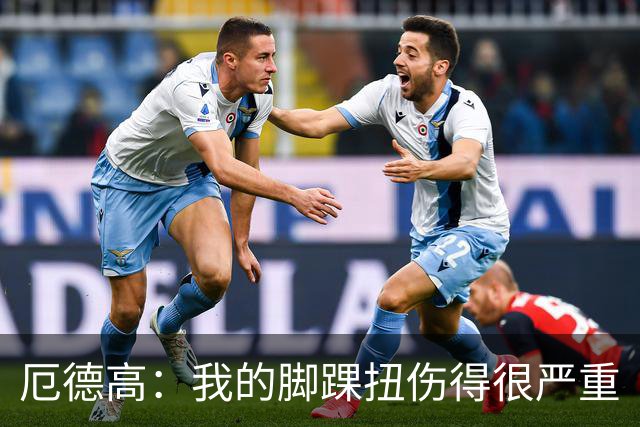 厄德高：我的脚踝扭伤得很严重